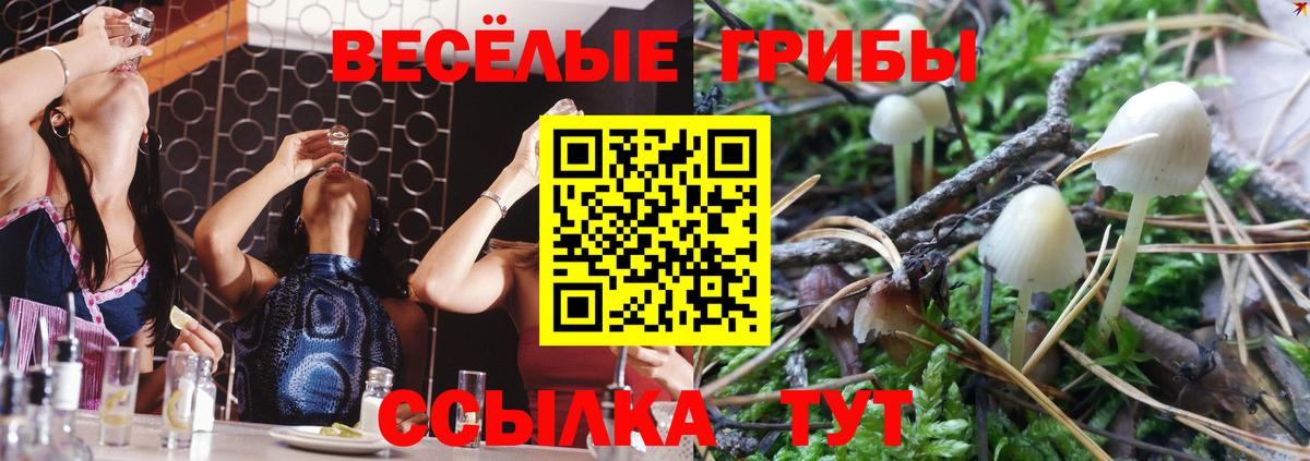Белорецк  Галлюциногенные грибы Psilocybe  Вход с VPN 